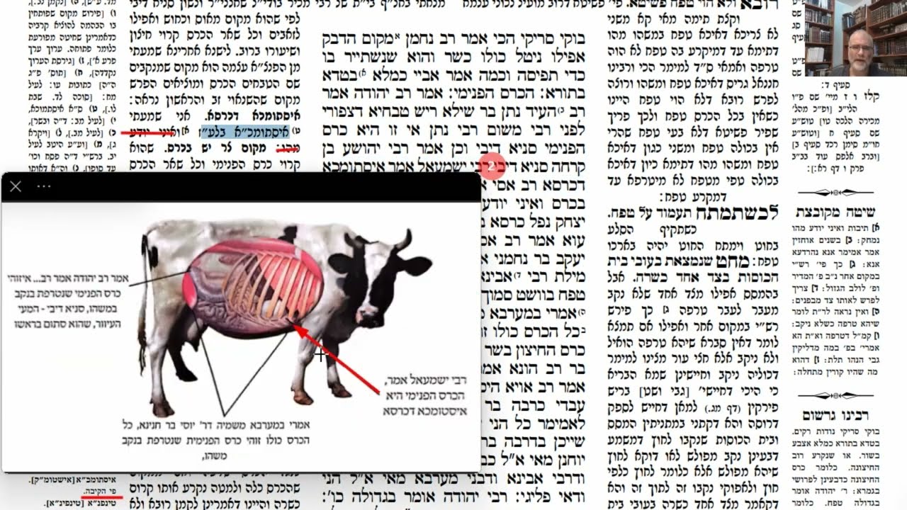 Read more about the article דף נ