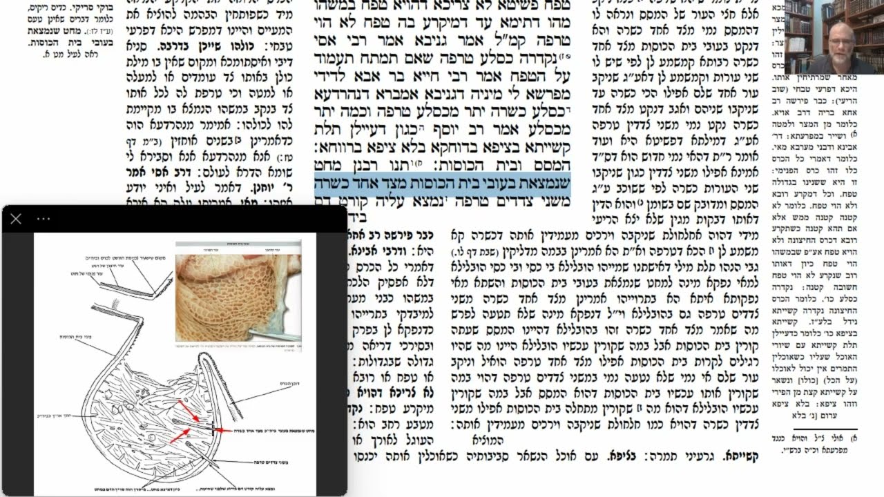 Read more about the article דף נא