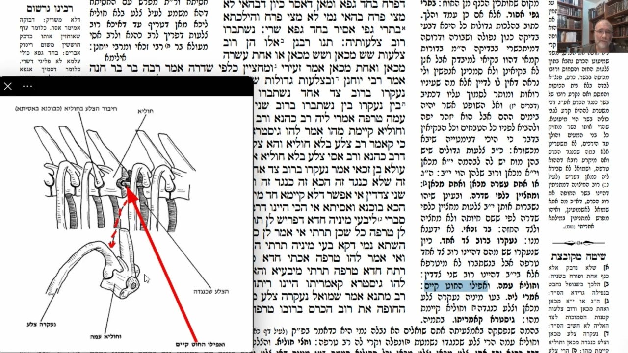 Read more about the article דף נב