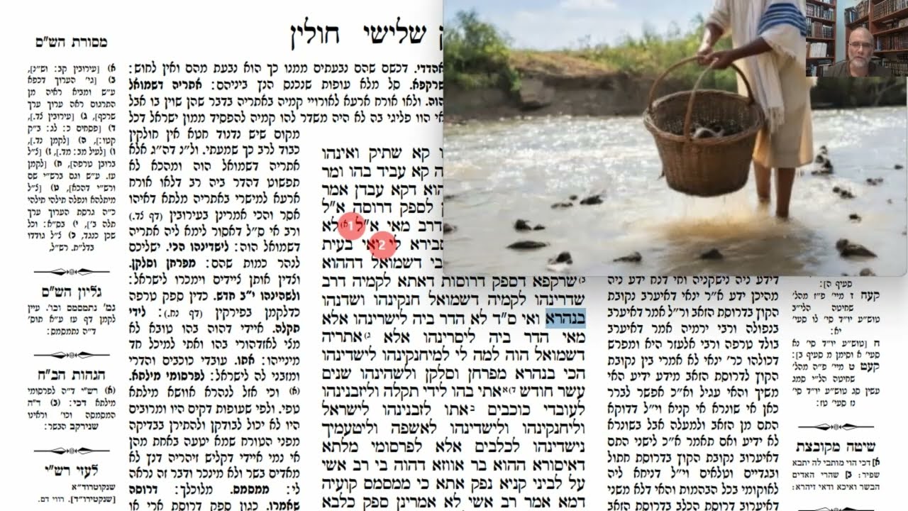 Read more about the article דף נג