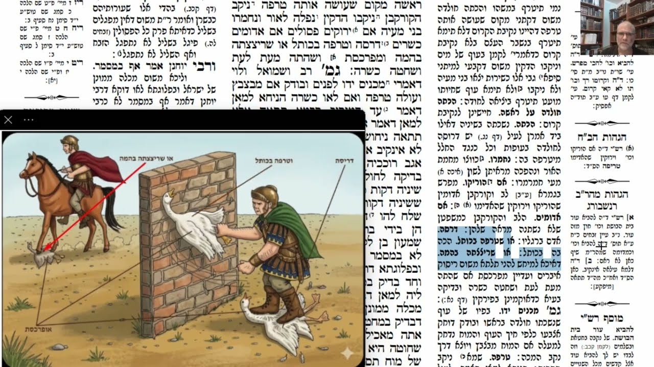 Read more about the article דף נו