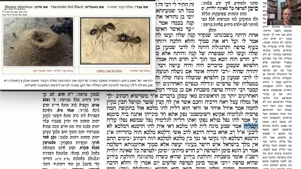 Read more about the article דף נז