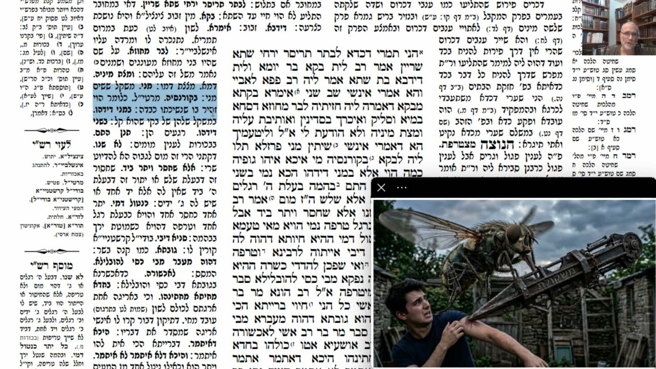 Read more about the article דף נח