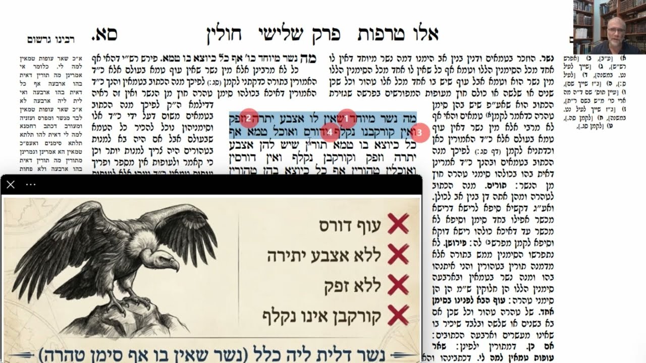 Read more about the article דף סא