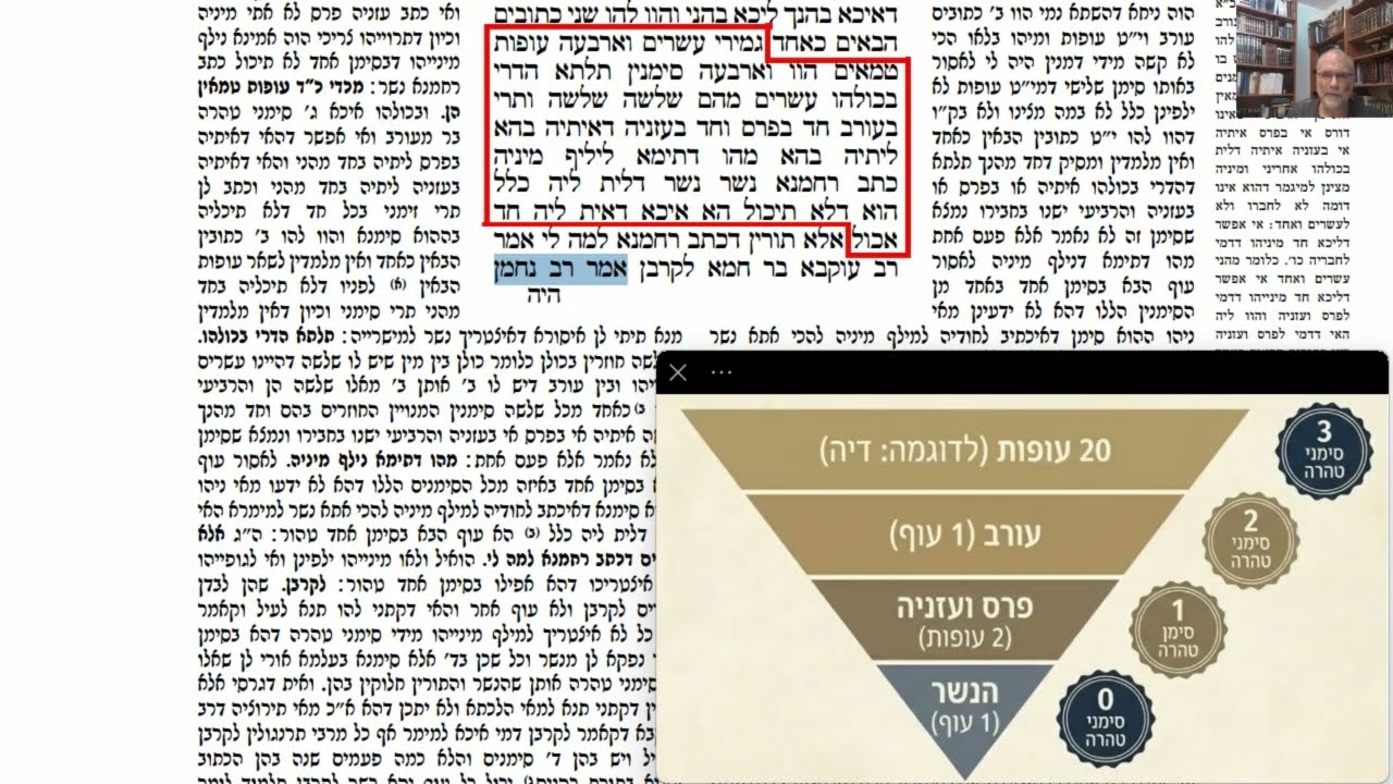 Read more about the article דף סב