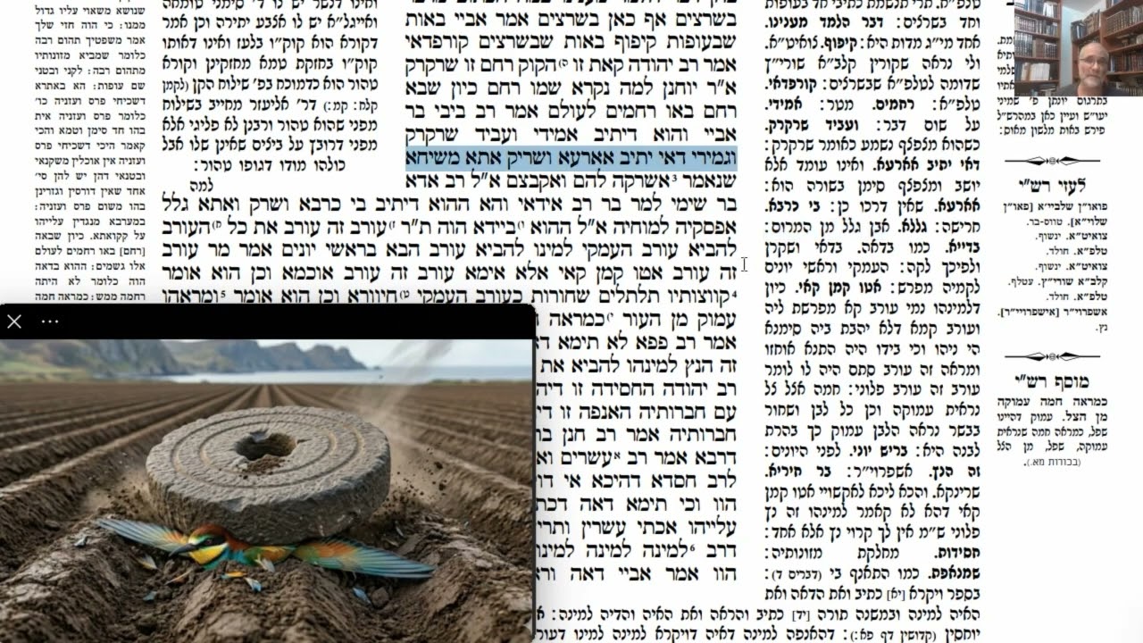 Read more about the article דף סג
