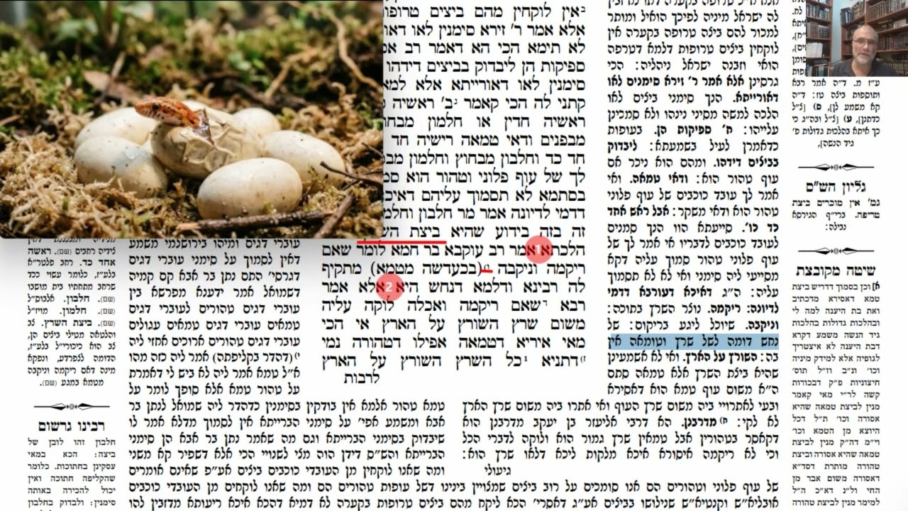 Read more about the article דף סד