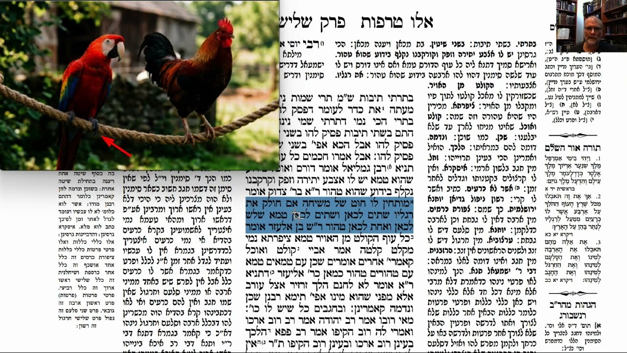 Read more about the article דף סה