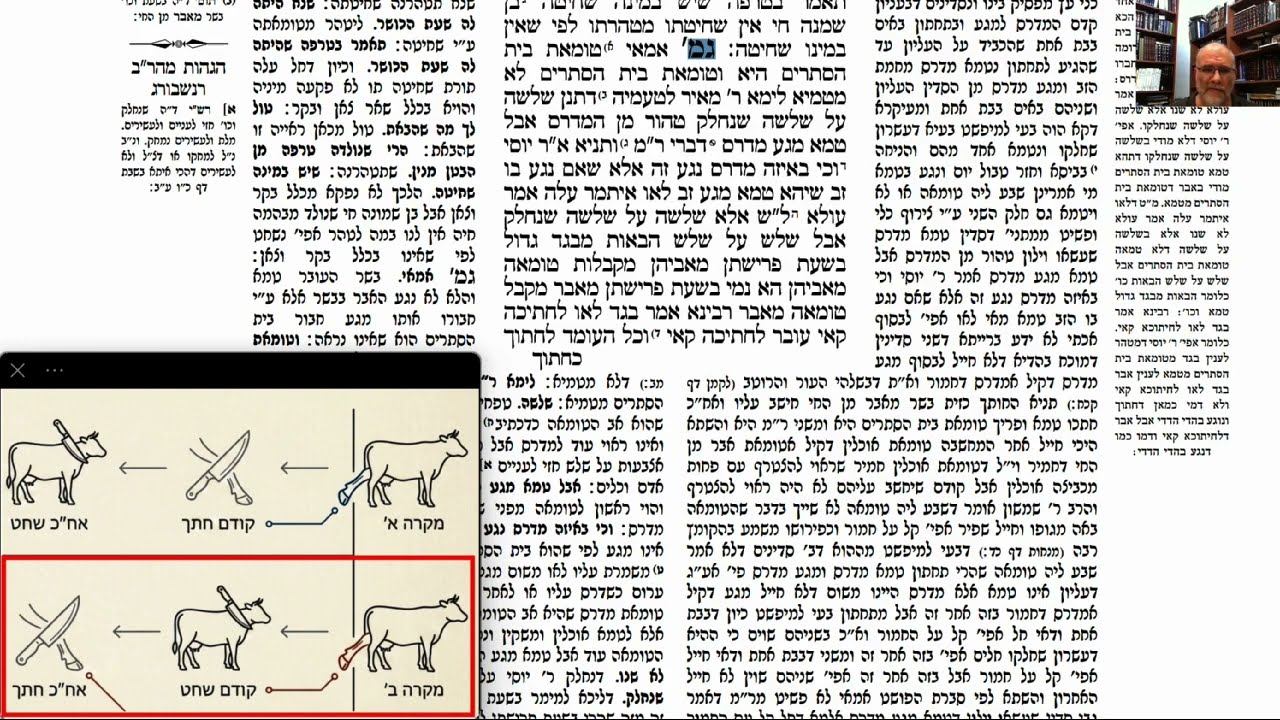 Read more about the article דף עב