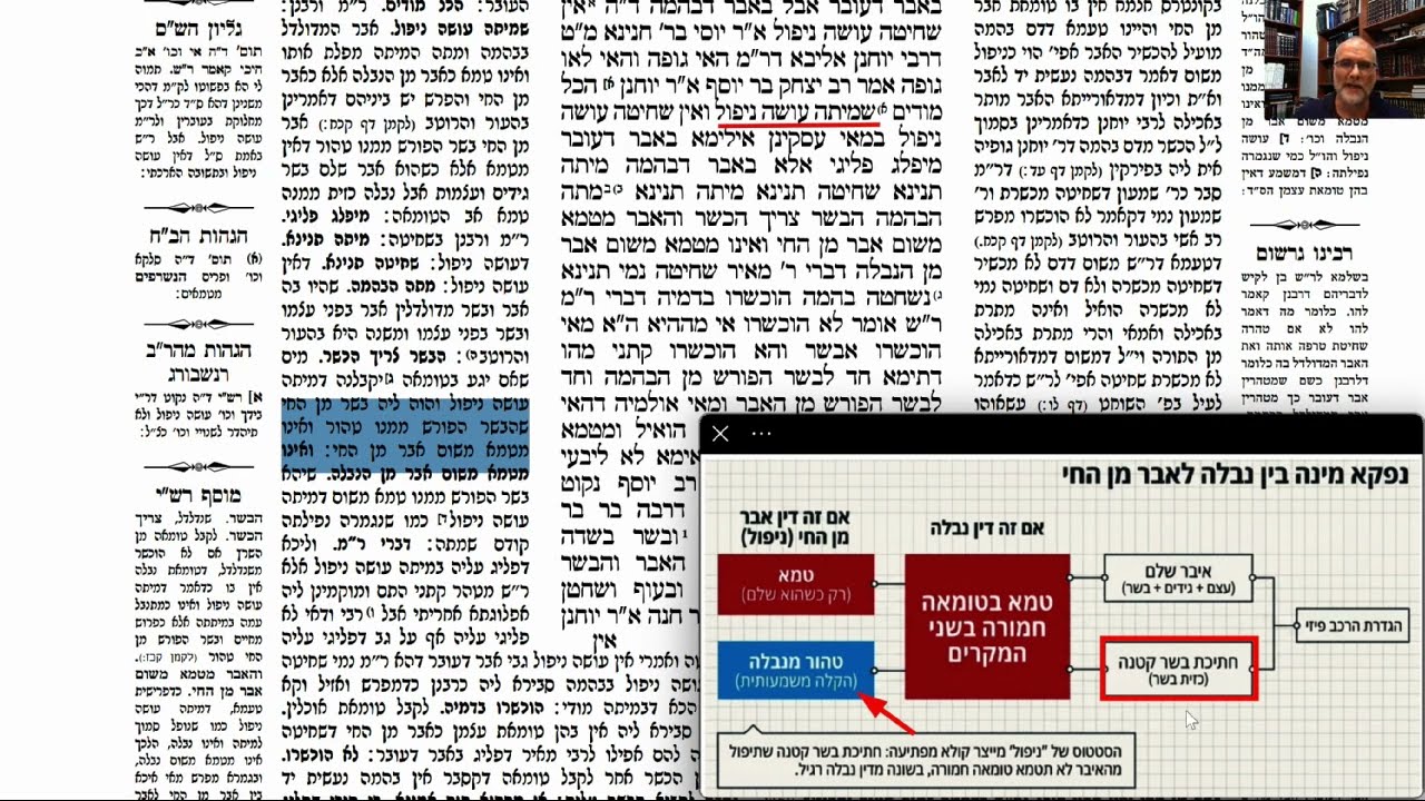 Read more about the article דף עג