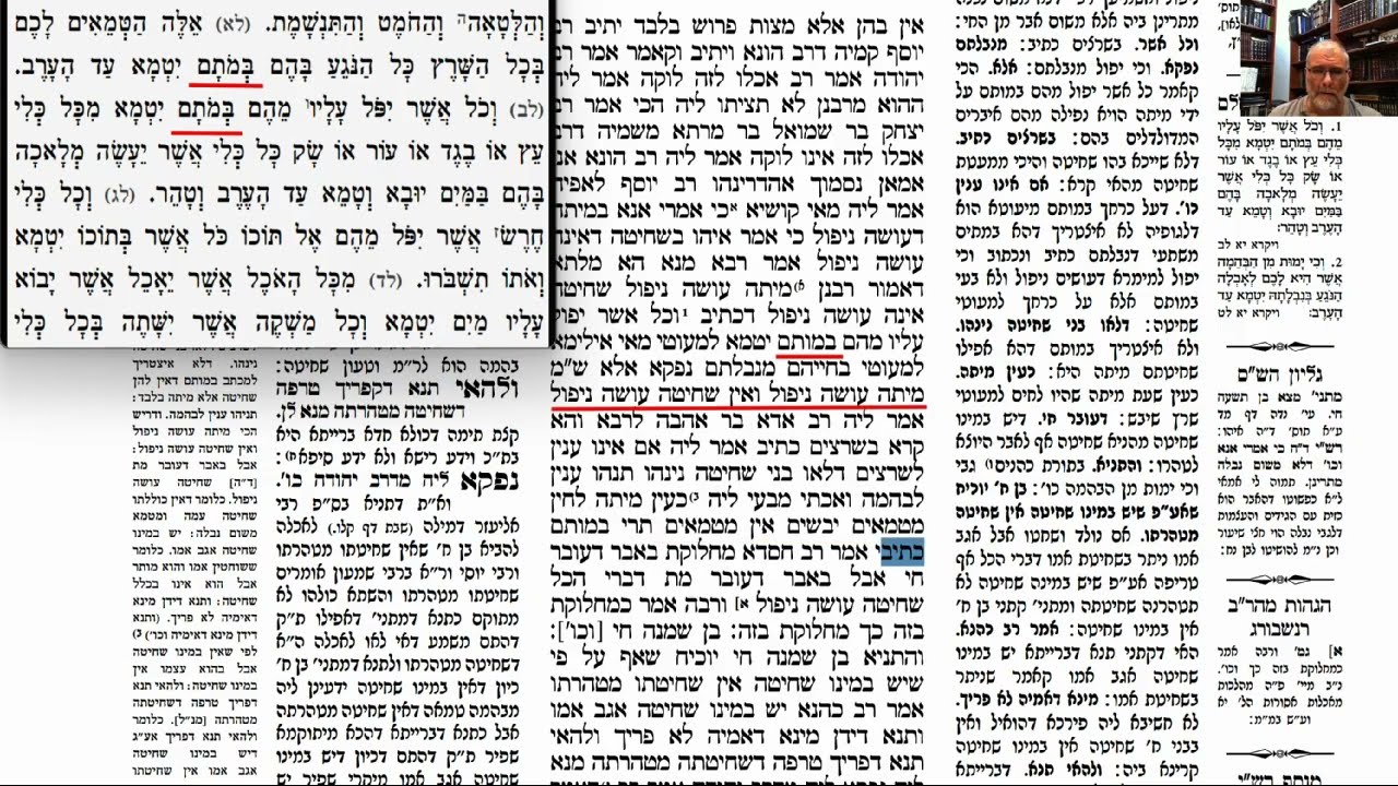 Read more about the article דף עד