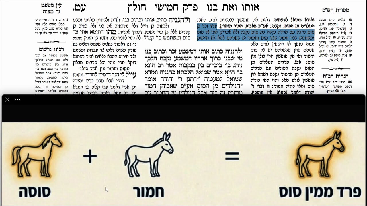 Read more about the article דף עט