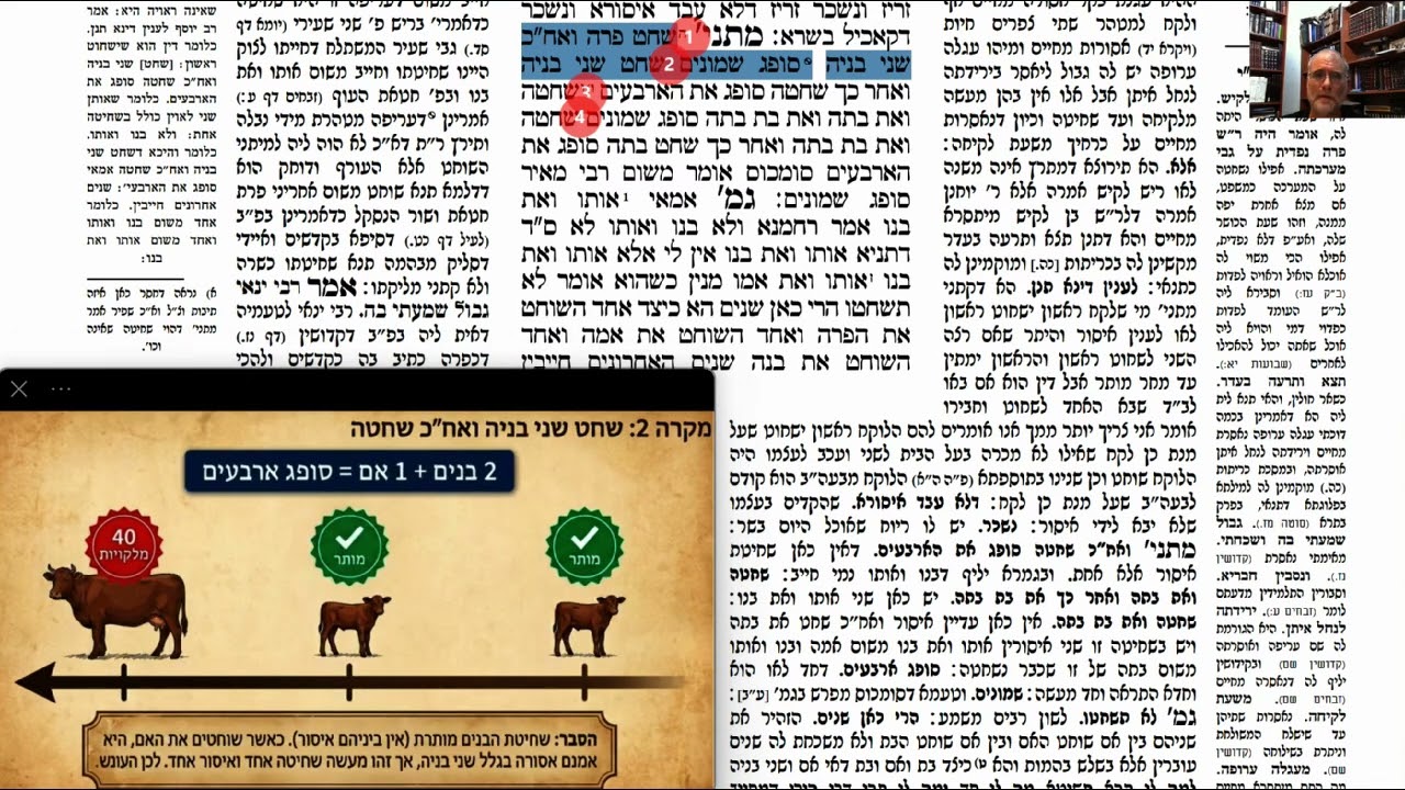 Read more about the article דף פב