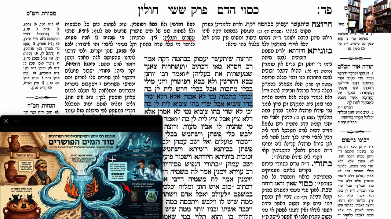 Read more about the article דף פד