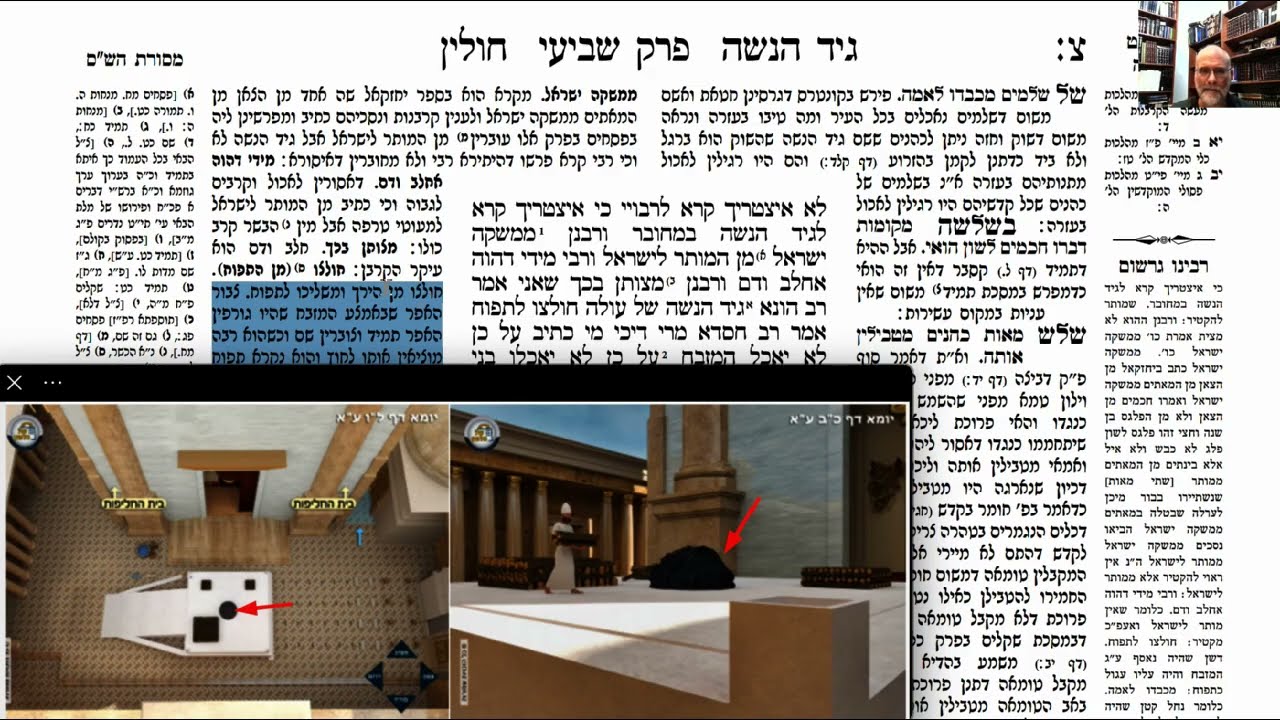 Read more about the article דף צ