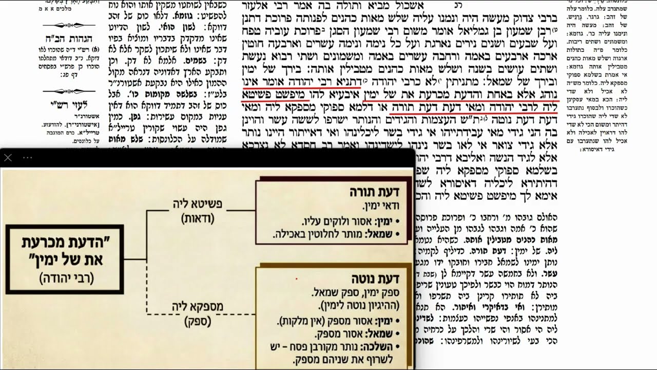 Read more about the article דף צא