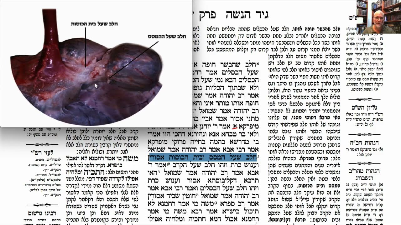 Read more about the article דף צג