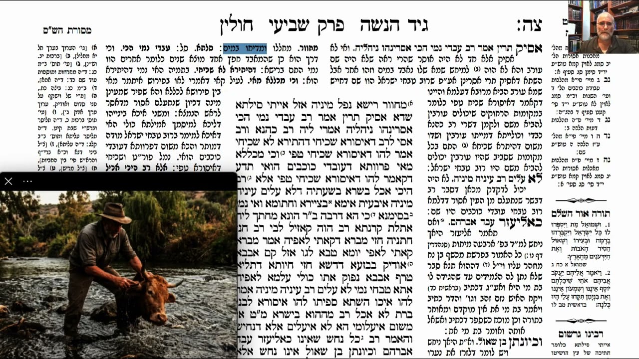 Read more about the article דף צה