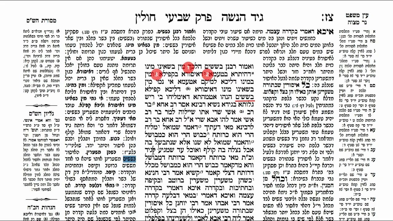Read more about the article דף צז