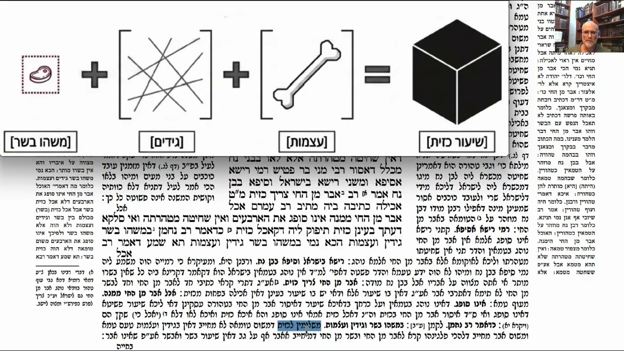 Read more about the article דף קב
