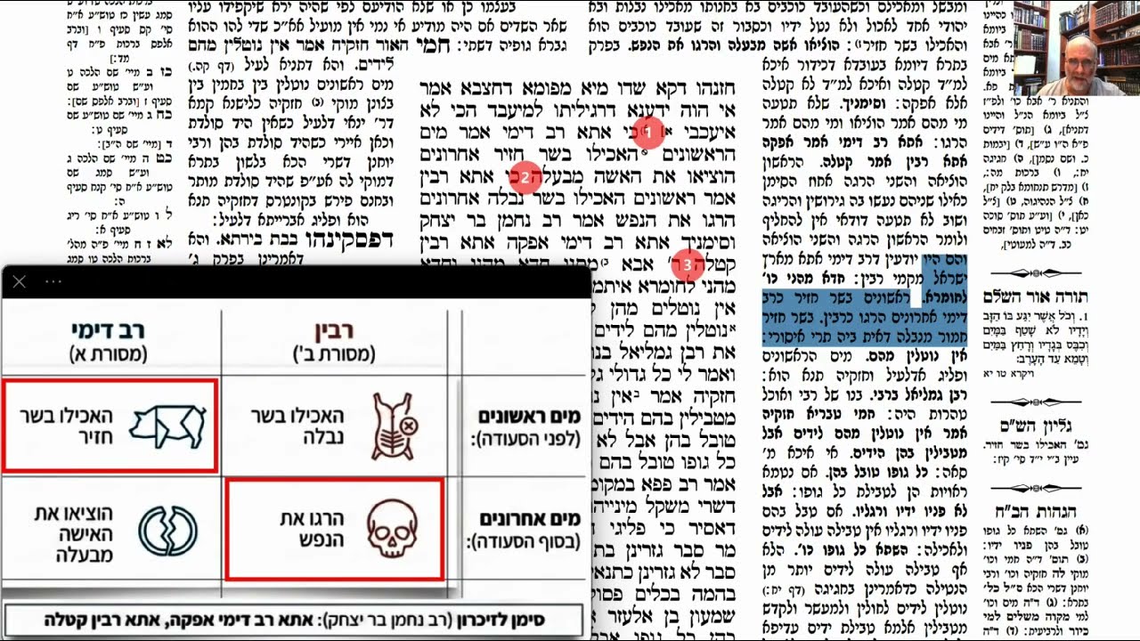 Read more about the article דף קו