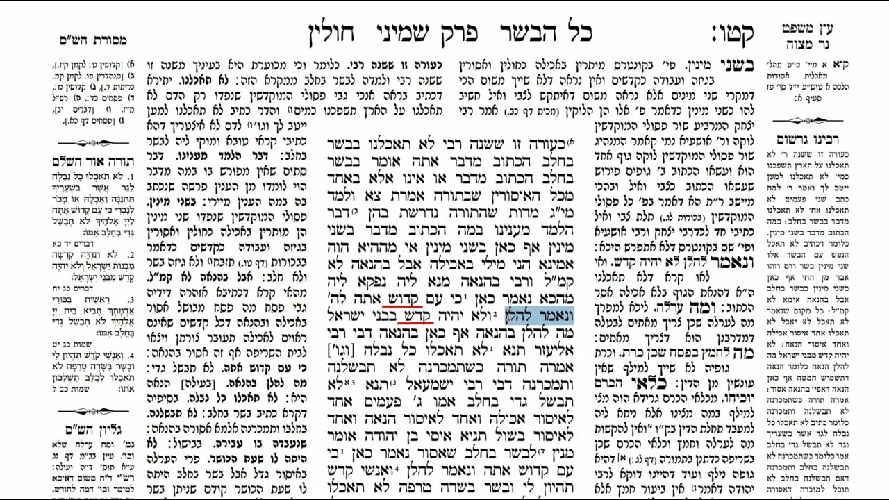 Read more about the article דף קטו