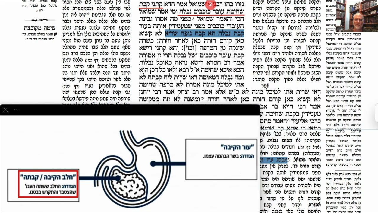 Read more about the article דף קטז