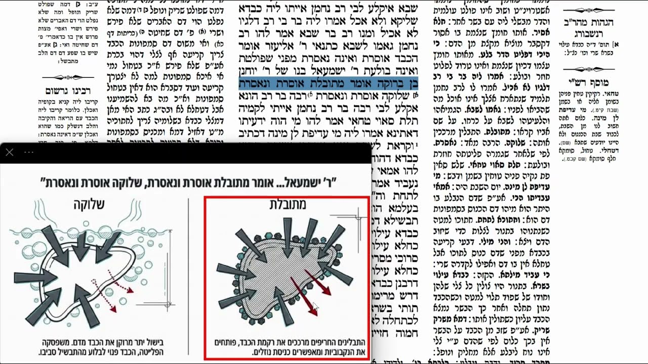 Read more about the article דף קיא