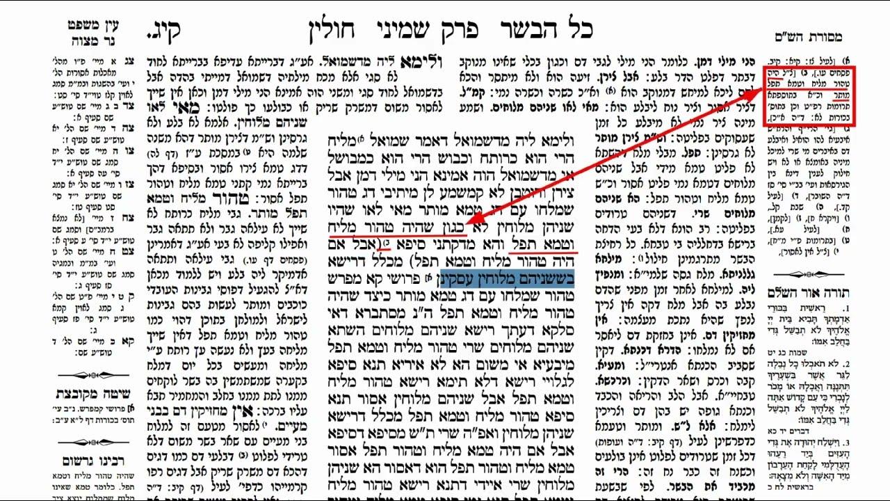 Read more about the article דף קיג