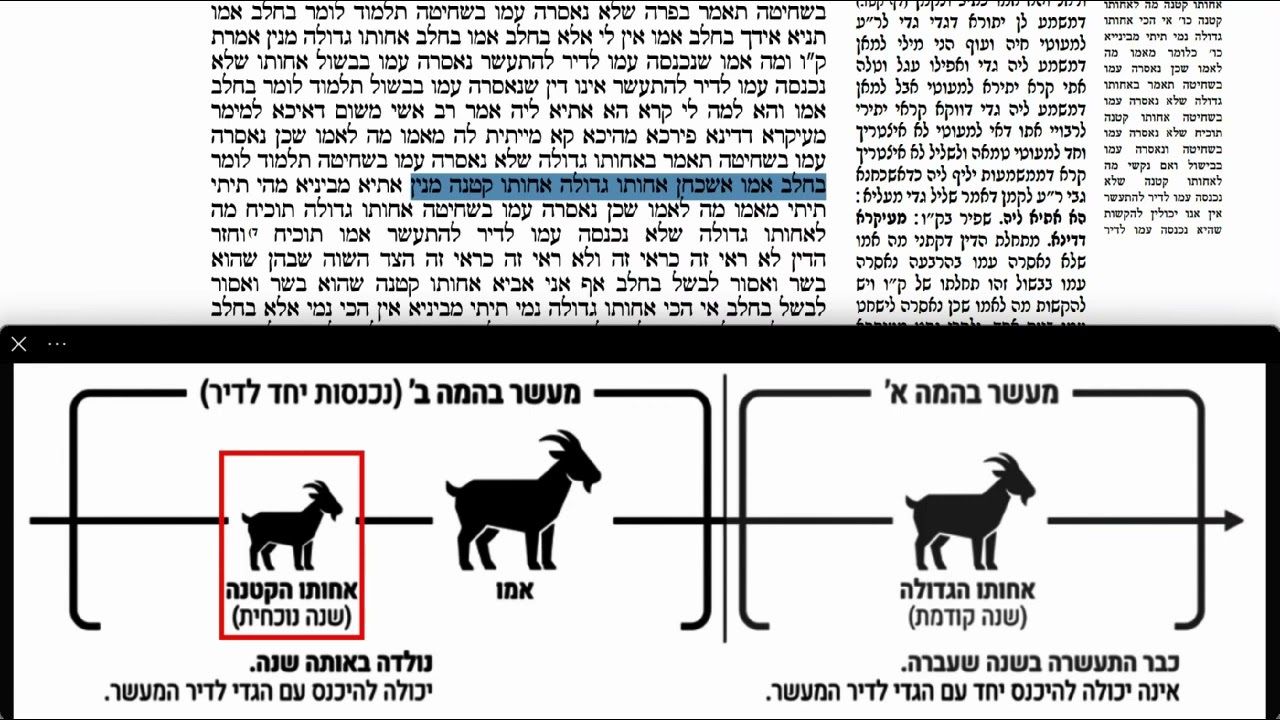 Read more about the article דף קיד