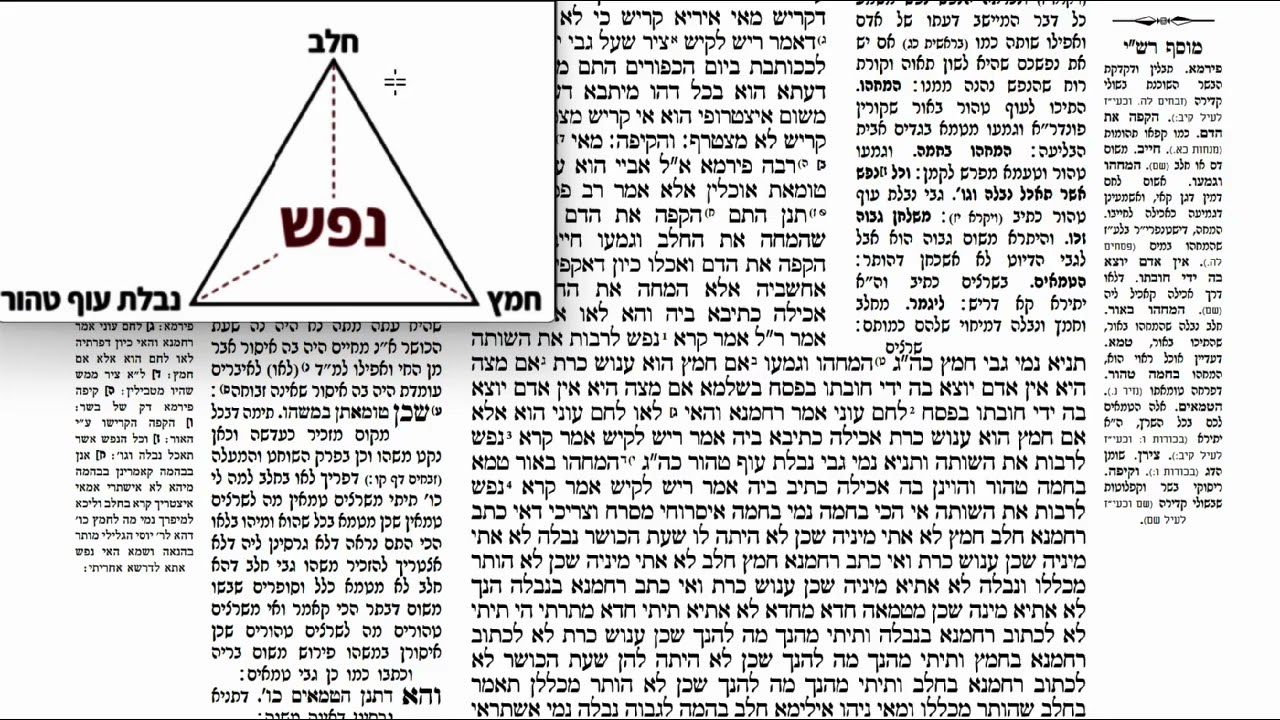 Read more about the article דף קכ
