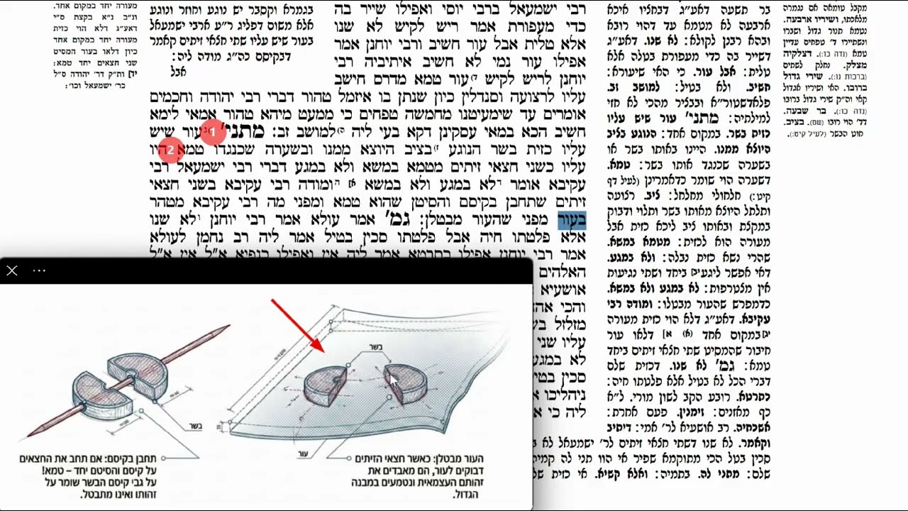 Read more about the article דף קכד