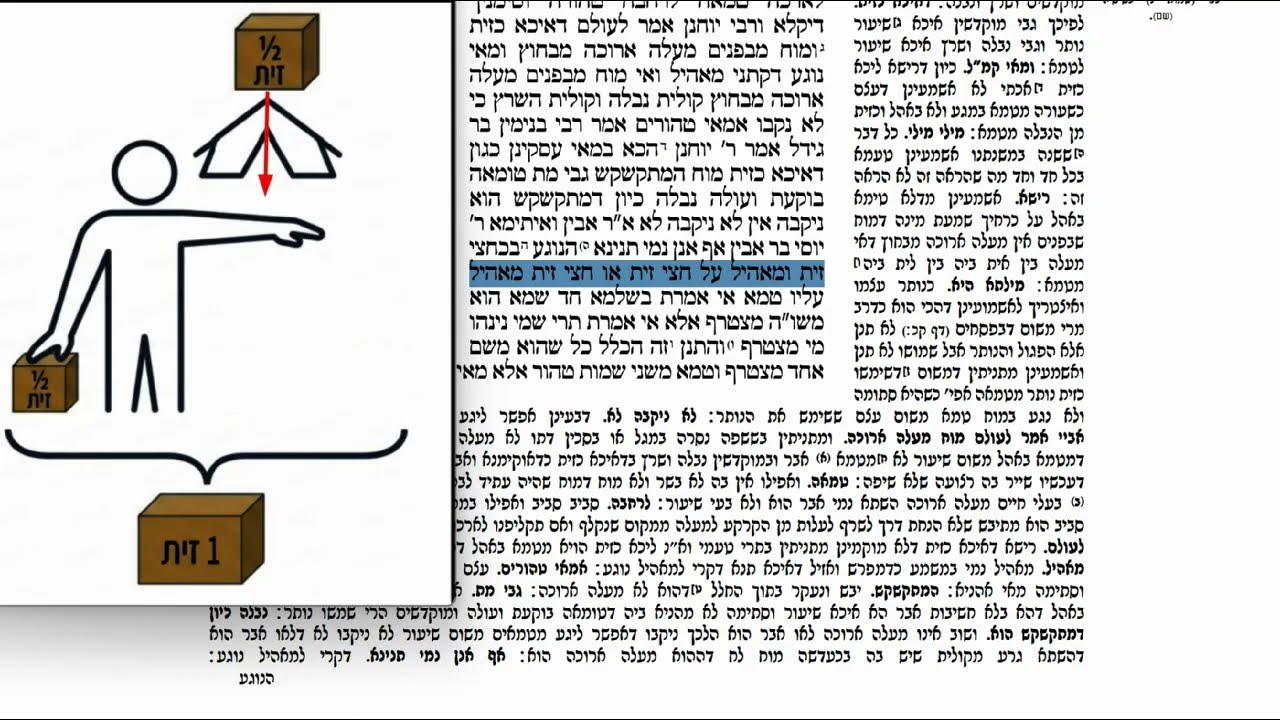 Read more about the article דף קכה