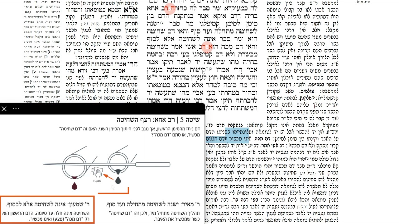 Read more about the article דף קכח