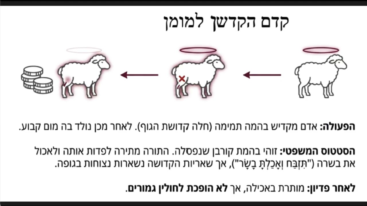 Read more about the article דף קל