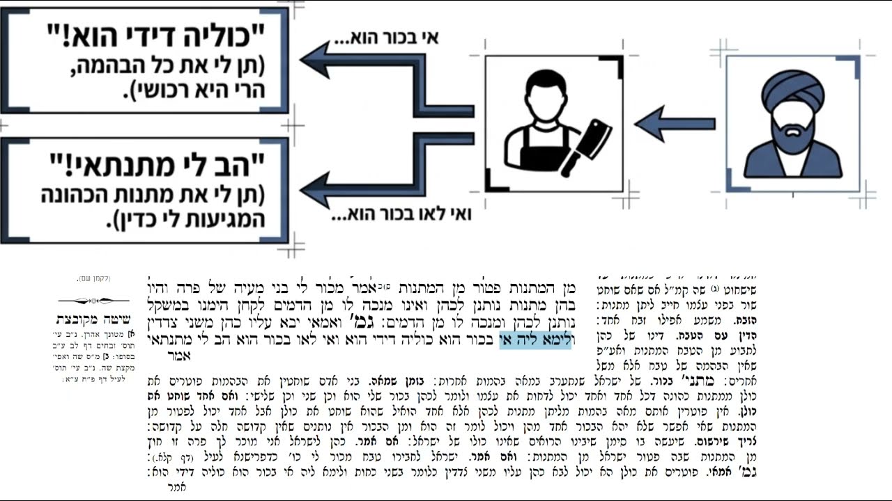 Read more about the article דף קלב
