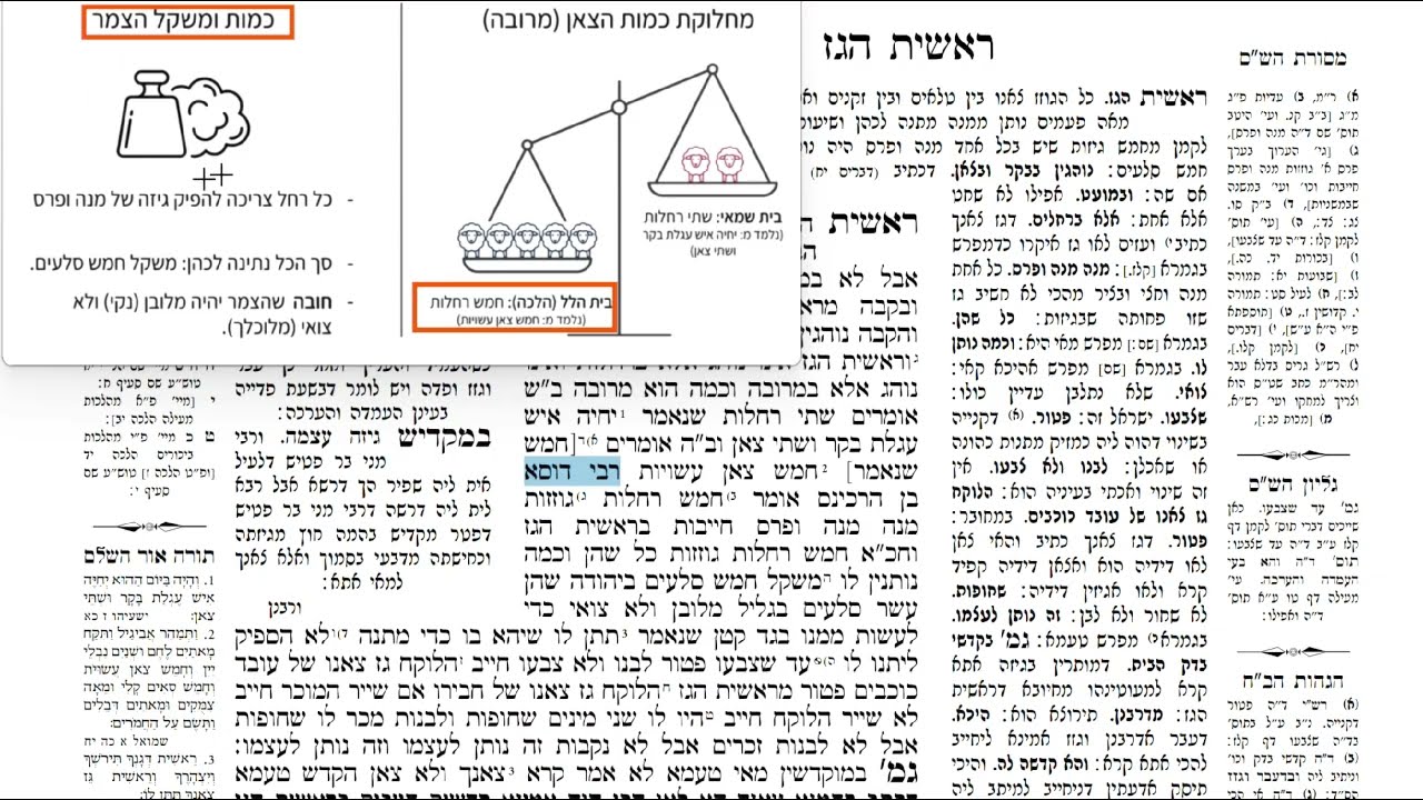 Read more about the article דף קלה