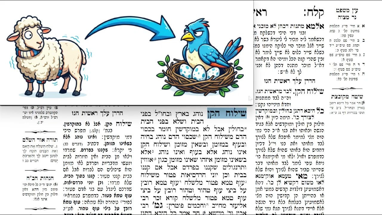 Read more about the article דף קלח
