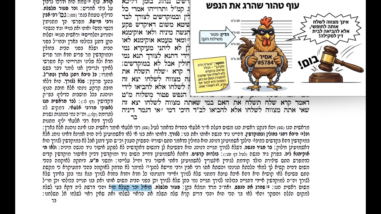 Read more about the article דף קלט