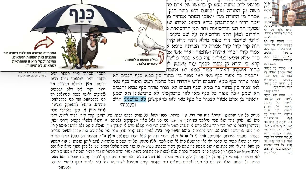 You are currently viewing דף קמ