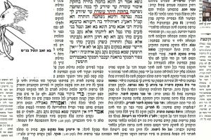 דף ט