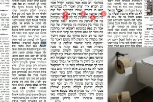 דף טז