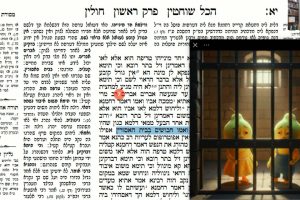 דף יא