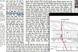 דף יט