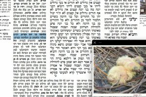 דף כב