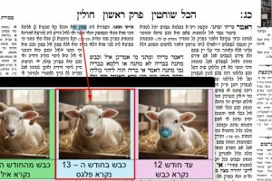 דף כג
