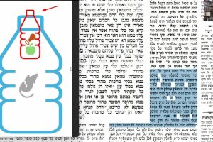 דף כה