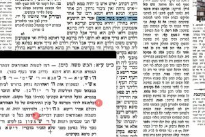 דף כט