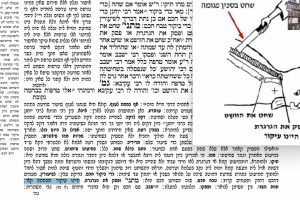 דף לב