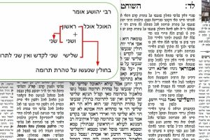 דף לה